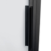 Riho Grid draaideur 100x200cm zwart profiel en helder glas SW242173