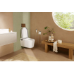 Hansgrohe Lavapura WC Douche - 48 cm - avec siège de toilette - télécommande - mat insonorisant - SmartClean - blanc SW1413638