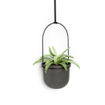 Umbra Triflora Porte-plante 64x110x15cm pour 5 plantes acier noir SW719971