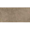 SAMPLE Terravito Sigillo carreau mural et de sol - 29.6x59.5cm - 8mm - rectifié - Effet béton - Taupe SW1130867