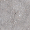 Edimax astor Golden age carreau de sol et de mur 60x60cm rectifié aspect marbre gris mat SW545385