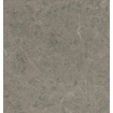 Ceralto Calisto Luxe Vloertegel - 119.7x119.7cm - 9.0mm - gerectificeerd - Grigio elegante SW1175239
