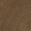 SAMPLE vtwonen Tegels Woodcirkle Vloertegel - 10x10cm - 9.5mm - Wenge SW1557778