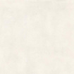 Ceralto Lazaro Vloertegel - 120x120cm - 9.0mm - gerectificeerd - Pure SW1242607
