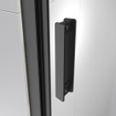 Sealskin Inc. Porte pivotante en niche 100x200cm 8mm verre de sécurité transparent avec traitement anticalcaire noir mat SW795483