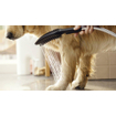 Hansgrohe Dogshower Douche pour chien mat noir SW651010