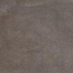 SAMPLE Ceralto Serico Polished Vloertegel - 60x60cm - 10.0mm - gerectificeerd - Brown SW913166