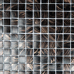 The Mosaic Factory Amsterdam carrelage mosaïque 32.2x32.2cm pour mur et sol intérieur et extérieur carré verre noir SW62137