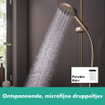 Hansgrohe Raindance Select S douchette 120 3jets powderrain bronze brossé SW541808