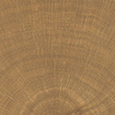 Vtwonen Carrelage Woodcirkle Carrelage de sol - 10x10cm - 9.5mm - Noyer SW1557784