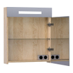 BRAUER Promise Deluxe Armoire toilette 60x70x15cm avec 1 porte droite et éclairage LED Sunlit SW30765