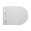 Aloni Pro Hangend Toilet - 36x49x32cm - wervelspoeling - randloos - met zitting - softclose - quick release - compact - mat wit SW1446225
