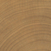 Vtwonen Carrelage Woodcirkle Carrelage de sol - 10x10cm - 9.5mm - Noyer SW1557784