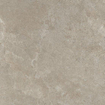 Ceralto Amaro Plank Vloertegel - 80x80cm - 9.0mm - gerectificeerd - Dove SW1473955