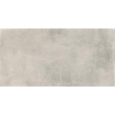 Ceralto Tivoli Accent Vloertegel - 29.7x59.7cm - 9.0mm - gerectificeerd - L.grey SW1175100
