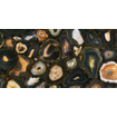 Ceralto Vespera Slate Vloertegel - 60x120cm - 6.0mm - gerectificeerd - Black sea gold SW1446183