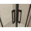 Wiesbaden Skyline cabine d'angle à entrée latérale avec 2 portes coulissantes 800 x 800 x 2000 x 8 mm verre clair nano cadre noir mat SW440363