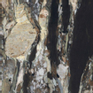 Douglas jones magnum carreau de sol et de mur 120x120cm rectifié brillant quatre sais. SW717431