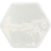 Terravito Parnaso wandtegel - 16x18cm - 8.5mm - Wit SW878874