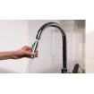 Hansgrohe Focus Robinet de cuisine avec douchette extractible chrome GA69755