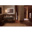 hansgrohe Ecostat Comfort E inbouwthermostaat - 2 functies - met inbouwdeel - mat zwart SW1481450