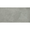 Ceralto Tivoli Accent Carreau de sol - 59.7x119.7cm - 9.0mm - rectifié - Graphite SW1175098