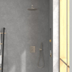 Villeroy & Boch Universal Showers douche principale - 25cm - Rond - Nickel brossé mat (inox) SW974352