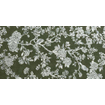 Cir Chromagic Decor-strip - 60x120cm - 10.0mm - gerectificeerd - Floral olive SW704697