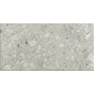Ceralto Valerio Mini Vloertegel - 59.7x119.7cm - 9.0mm - gerectificeerd - Ceppo di gre SW1175097