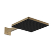 Hansgrohe Pulsify e pomme de douche 260 1jet ecosmart bronze brossé SW917976