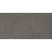 Douglas Jones Tinct Vloertegel - 30x60cm - 9.0mm - gerectificeerd - Sabbia antracite SW1242807