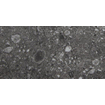 Vtwonen Tegels Composite Vloertegel - 30x60cm - 9.0mm - gerectificeerd - Black antraciet SW367854