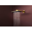 Hansgrohe Raindance alive hoofddouche 210/340 2 jet wand Polished Gold Optic (goud) SW1388764