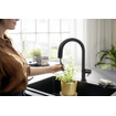 Hansgrohe Aqittura système de filtration mitigeur de cuisine 210 bec extractible 1jet noir mat SW918722
