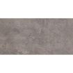 Beste koop Phorma carreau de sol 30x60cm 8.8mm rectifié musc mat SW444671