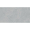 Rako Extra Wandtegel - 29.8x59.8cm - 8.0mm - Light grey SW957738