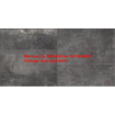 Ceralto Micello R11 Carreau de sol - 50x80cm - 10.0mm - Namur SW928509