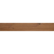 SAMPLE Ceralto Houta Soft Ragno 250X1500 Ossimori R9RQ Miele R9RQ 9.5Mm Extra Mat Ret.R10 25x150cm MIELE SW914248