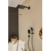 Hansgrohe Raindance select s douchette 120 3jets mat noir SW492796