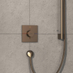 Hansgrohe ShowerSelect Comfort E Thermostaat - inbouw - 1 functie - Brushed Bronze SW918033