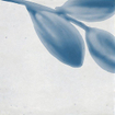Ceralto Drapé Mural Decor-strip - 15x15cm - 10.0mm - Bianco SW669912