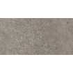 Ceralto Amaro Plank Vloertegel - 30x60cm - 9.0mm - gerectificeerd - Iron SW1473913