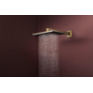 Hansgrohe Raindance alive pomme de douche 210/340 1 jet Bronze brossé (bronze) SW1388387