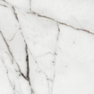 Ceralto Alabro Vein carrelage sol et mur 60X60cm rectifié Argent Mat SW854885