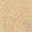 Vtwonen Tegels Woodcirkle Carrelage de sol - 10x10cm - 9.5mm - Chêne SW1557803