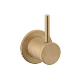 Crosswater MPRO INDUSTRIAL Robinet inverseur à encastrer 2 Sorties Laiton brossé living colours SW451379