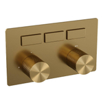 BRAUER Gold Carving Inbouwthermostaat - 3 functies - inclusief inbouwdeel - drukknoppen - geborsteld goud PVD SW925616