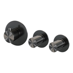 BRAUER Stripe Thermostat encastrable - 2 robinets d'arrêt - pièces d'encastrement et de finition - gunmetal brossé PVD SW1434982