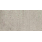Serenissi avec promenade carreau de sol 30x60cm 10 avec anti gel rectifié argento matt SW498775