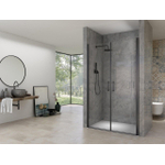 Van Rijn Products ST02 Porte de salon - 120x200cm - incl traitement du verre - incl profil mural - noir SW956309